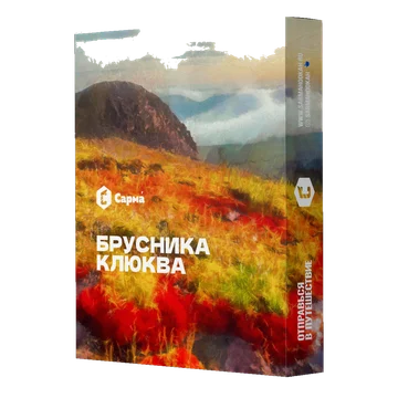 брусника клюква