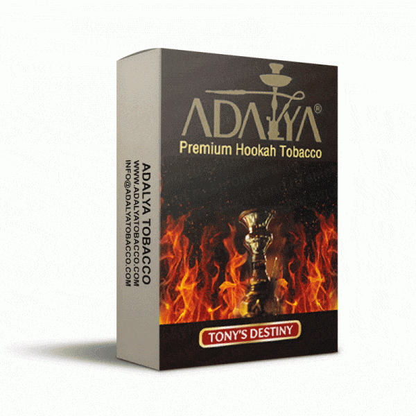 ADALYA TONY'S DESTINY