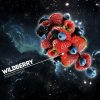 DARKSIDE WILDBERRY