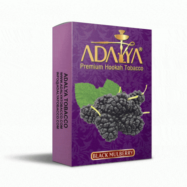 ADALYA BLACK MULBERRY