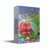 ADALYA - CHILLY CHERRY