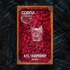 413_Raspberry_1