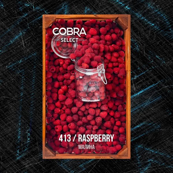 413_Raspberry_1