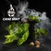 BLACK BURN - CANE MINT