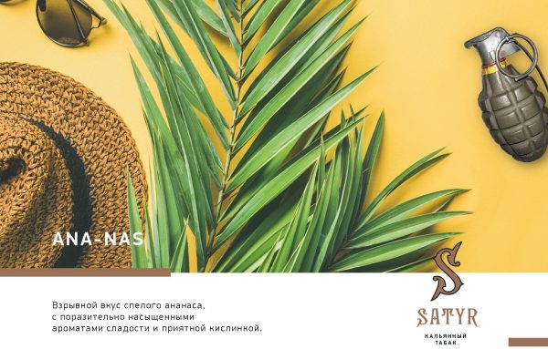 SATYR - ANA-NAS