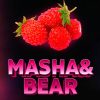 masha bear