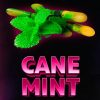 cane mint