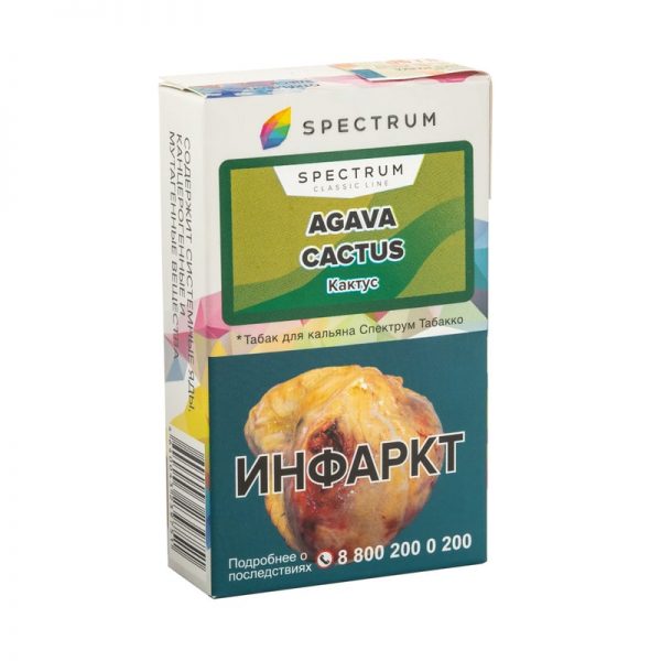 Spectrum Agava Cactus