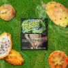 MALAYSIAN TOBACCO CACTUS FRESH