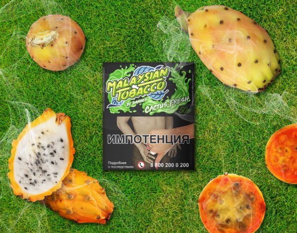 MALAYSIAN TOBACCO CACTUS FRESH