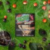 MALAYSIAN TOBACCO WILD CHERRY