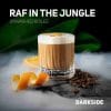darkside_raf-in-the-jungle