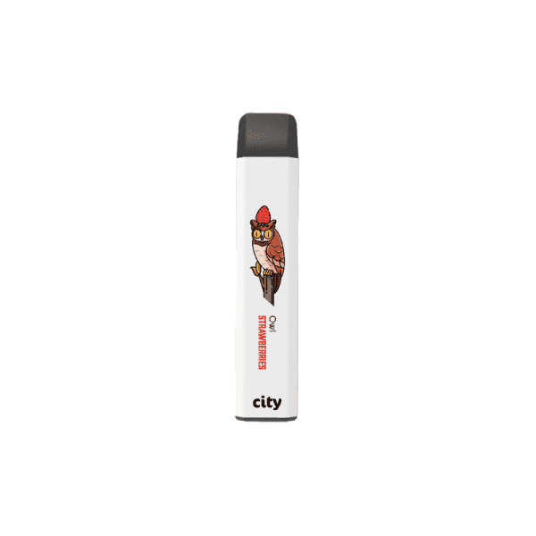 City zoo - Сова (Клубника) 700