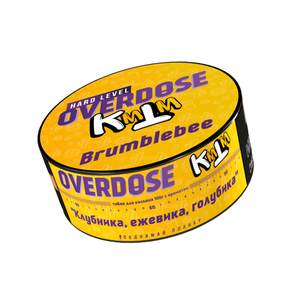 изображение_2023-08-28_121551569