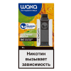 изображение_2024-01-02_145933894