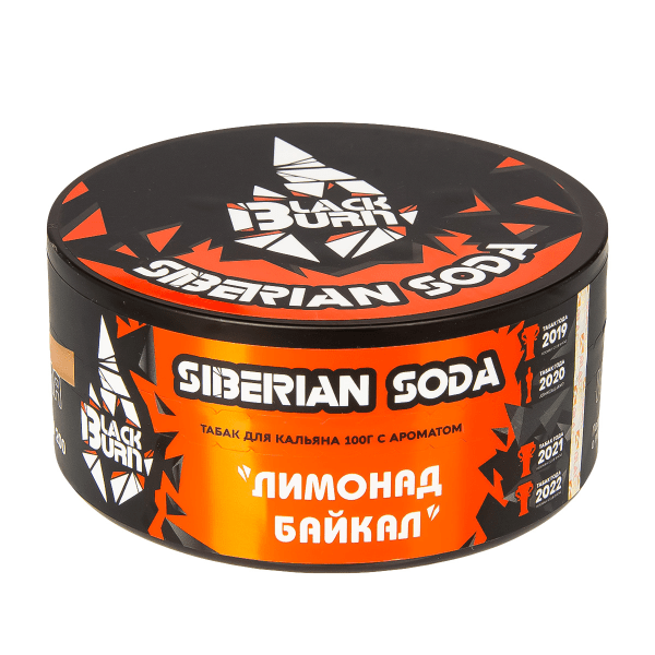 изображение_2024-01-30_140838582