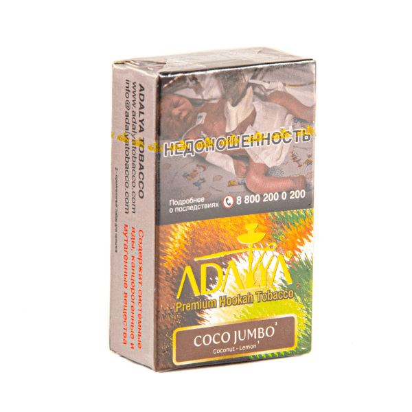 изображение_2024-07-29_151631779