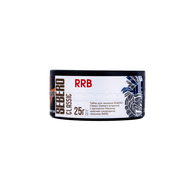 изображение_2024-12-07_182800354