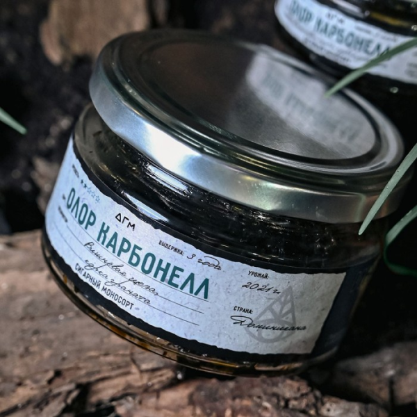 изображение_2024-11-22_173649928