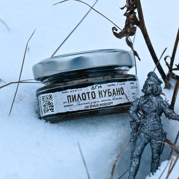 изображение_2024-12-23_200721974