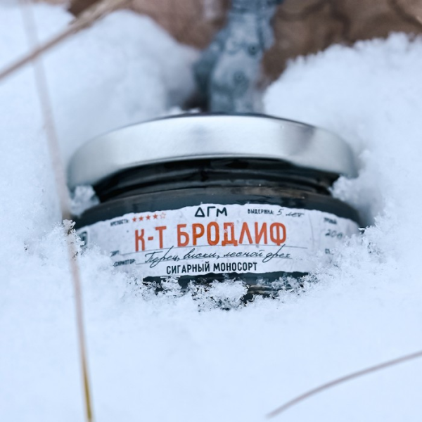 изображение_2024-12-23_200910874