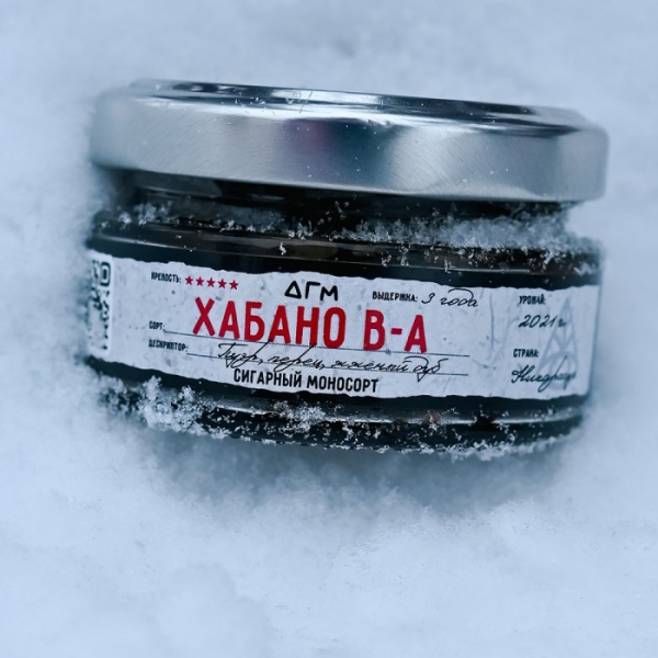 изображение_2024-12-23_201015600