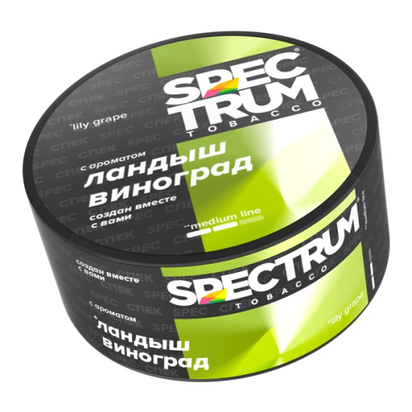 изображение_2025-12-15_140458958